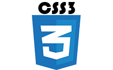 css logo