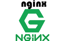 nginx logo